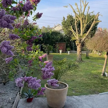 Maison Mimosa Hébergement de vacances *