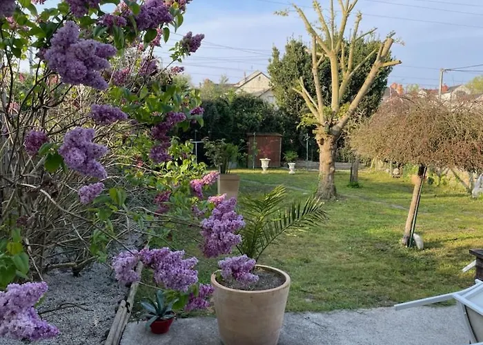 Maison Mimosa בית נופש *